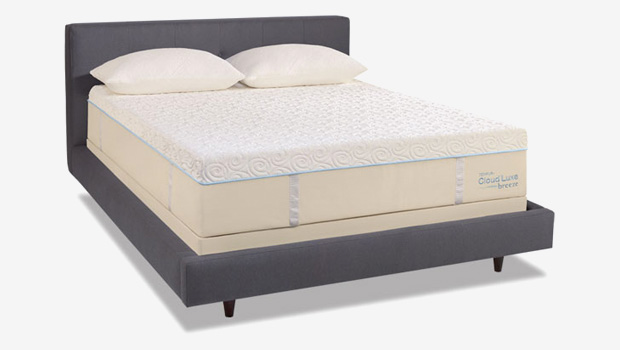 tempurpedic sealy sleeper soundly mattress